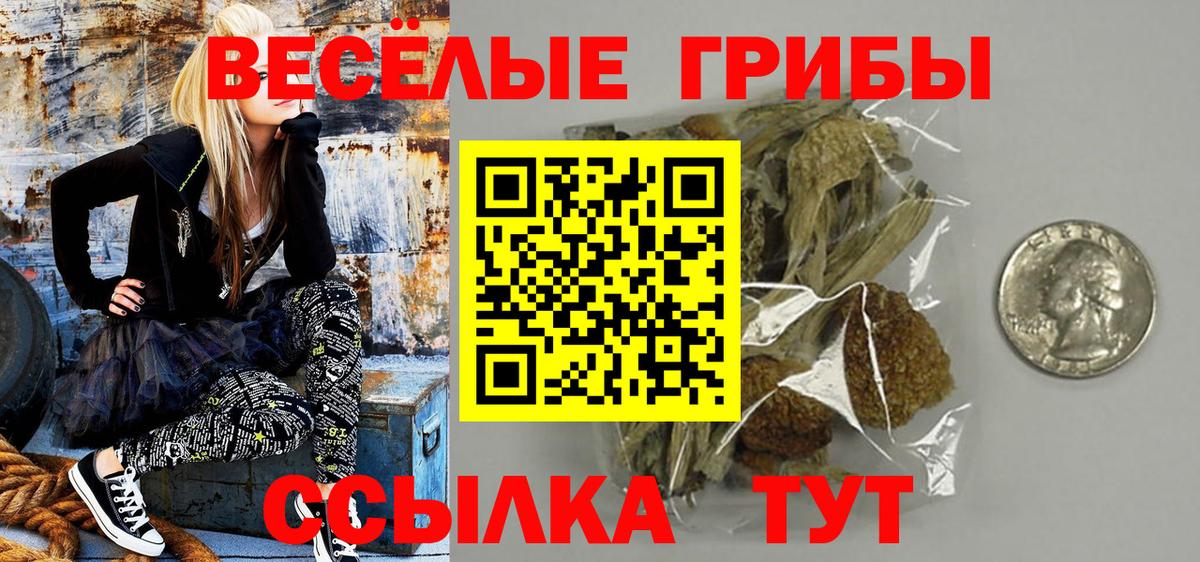 Псилоцибиновые грибы MAGIC MUSHROOMS  Вход с VPN  Галлюциногенные грибы мицелий  Зеленодольск 